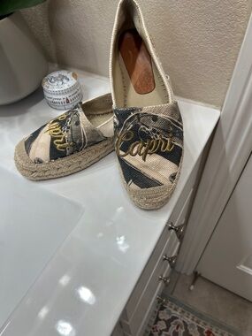 Embroidered Canvas Espadrilles in Beige and Blue, grey